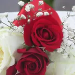 Eleni's