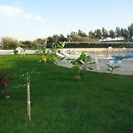 Eleni's *