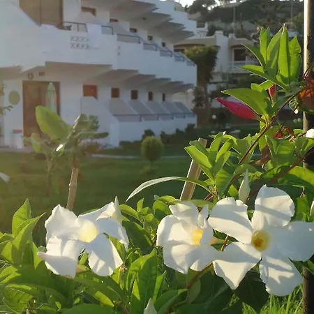 Eleni's Афанту