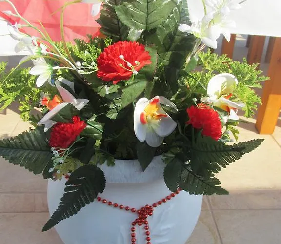 Eleni's * Afantou