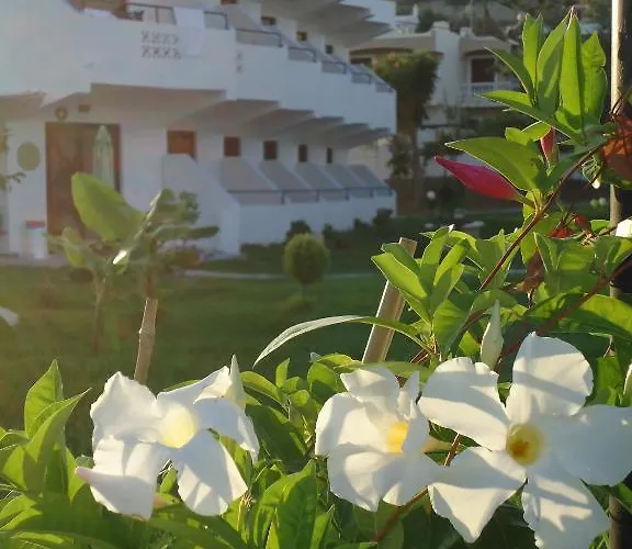 Eleni's أفانتو